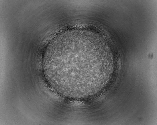 X0000114540553200911091135