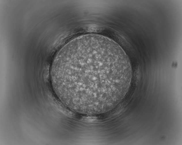 X0000114540554200911091135