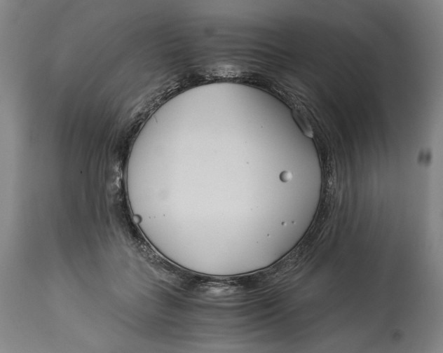 X0000114540555200911091135