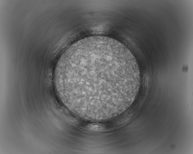 X0000114540557200911091135