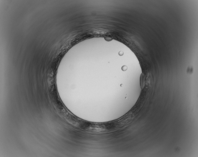 X0000114540559200911091135