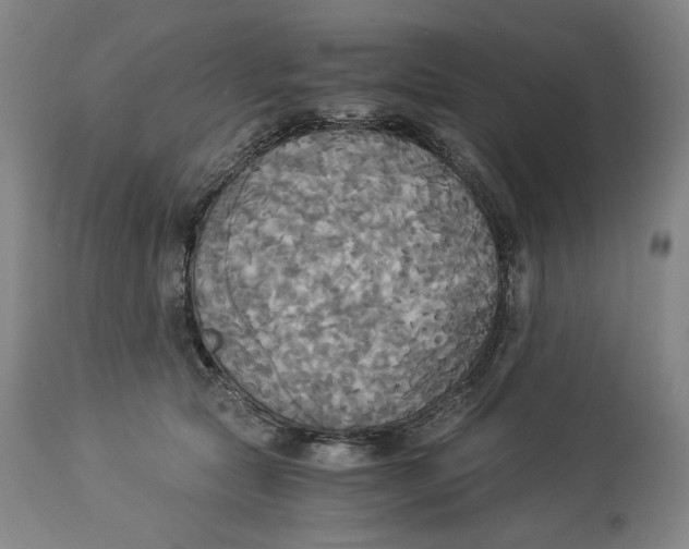 X0000114540561200911091136