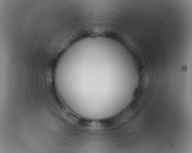 X0000114540562200911091136