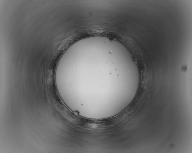 X0000114540563200911091136