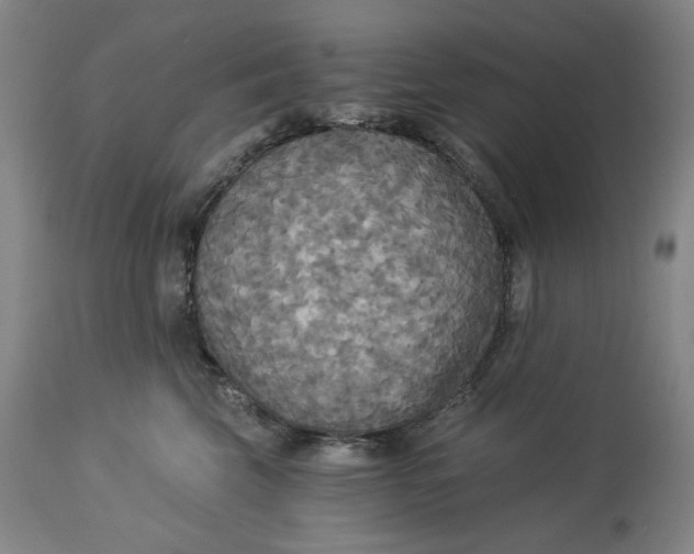 X0000114540569200911091136