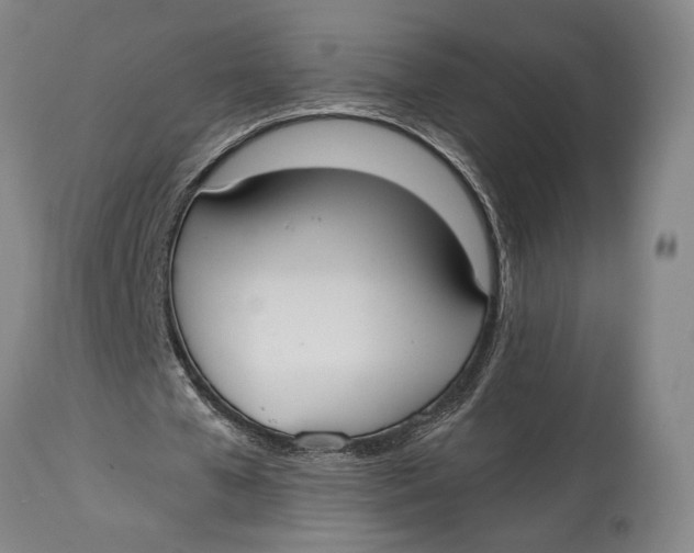 X0000114540577200911091135