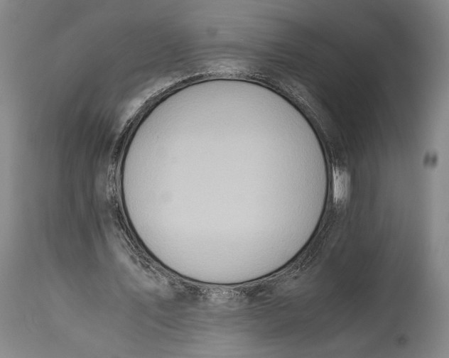 X0000114540579200911091135