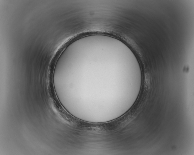 X0000114540580200911091135