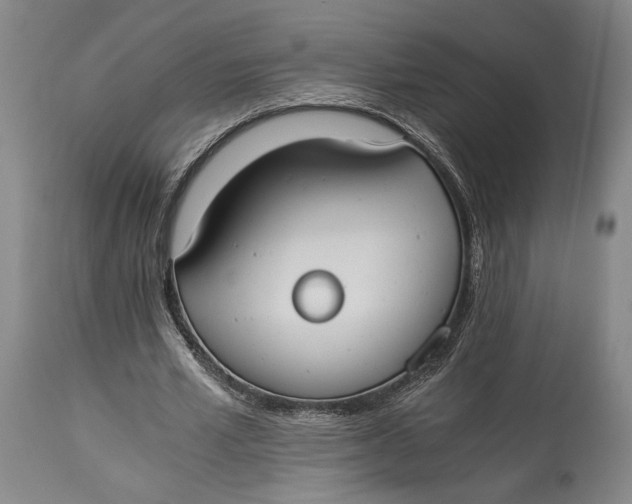 X0000114540581200911091135