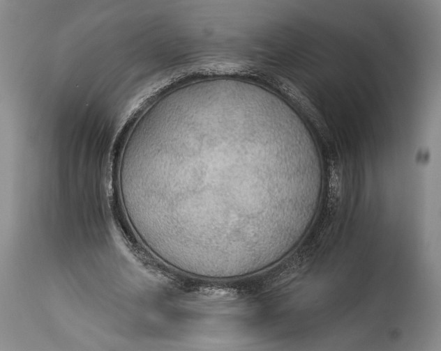 X0000114540582200911091135