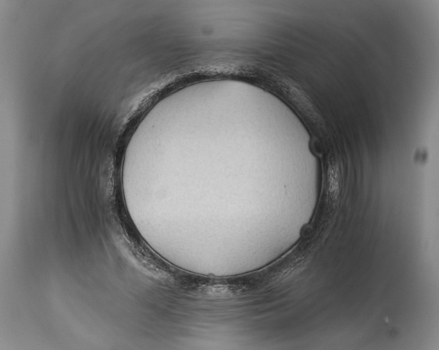 X0000114540588200911091135