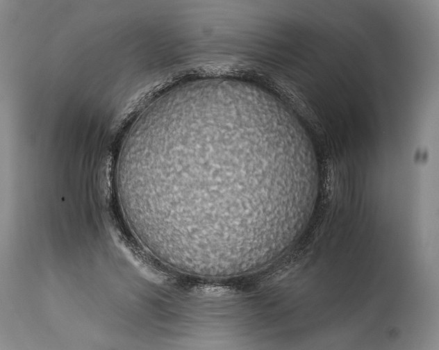 X0000114540590200911091135