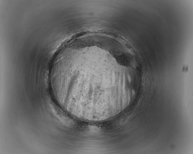 X0000114540592200911091135