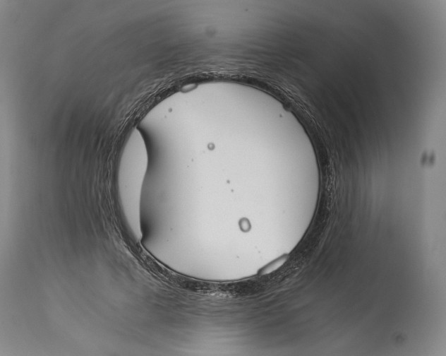 X0000114540593200911091135