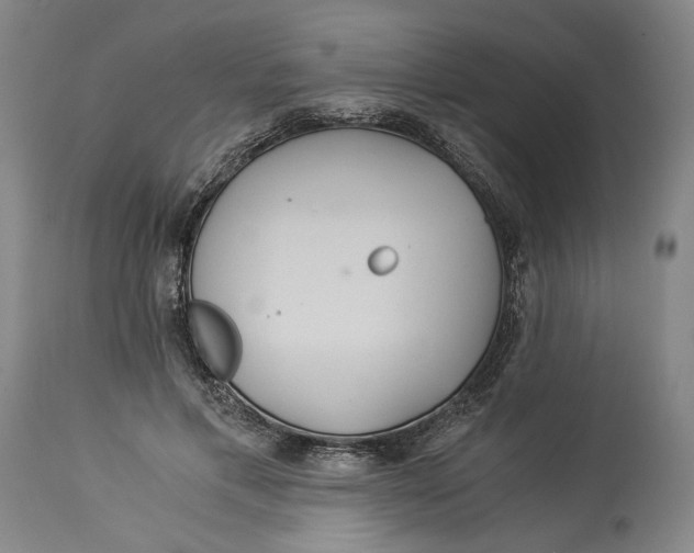 X0000114540597200911091135