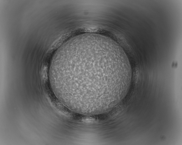 X0000114540598200911091135