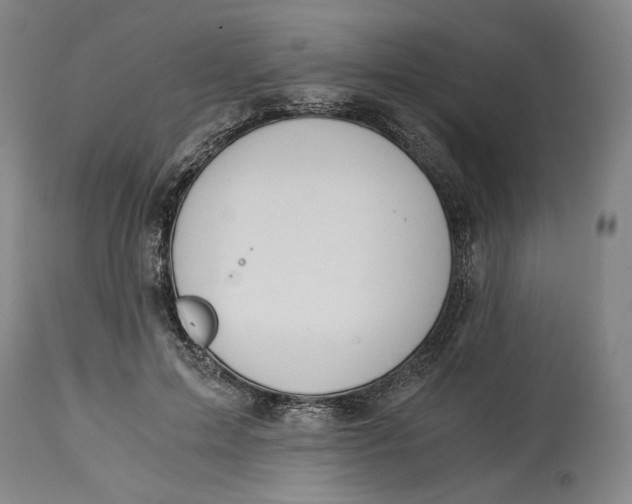 X0000114540599200911091135