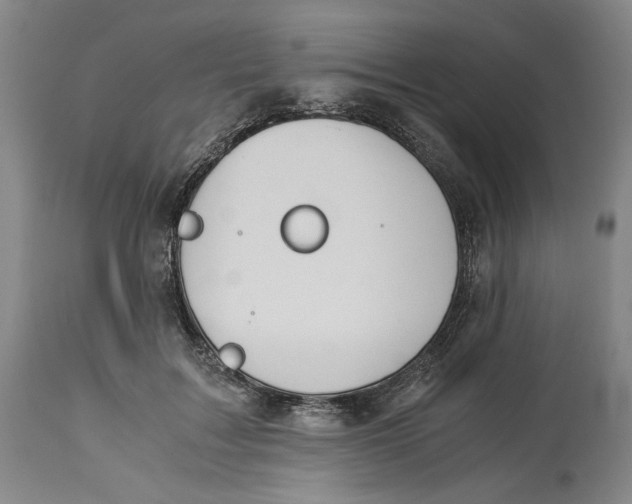 X0000114540603200911091134