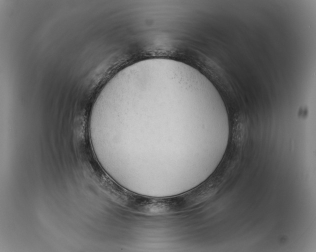 X0000114540604200911091134