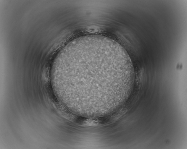 X0000114540606200911091134