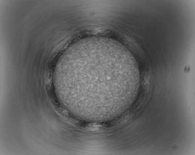 X0000114540607200911091134