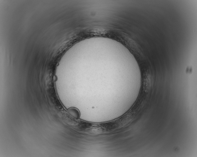 X0000114540608200911091134