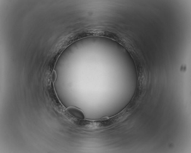 X0000114540609200911091134