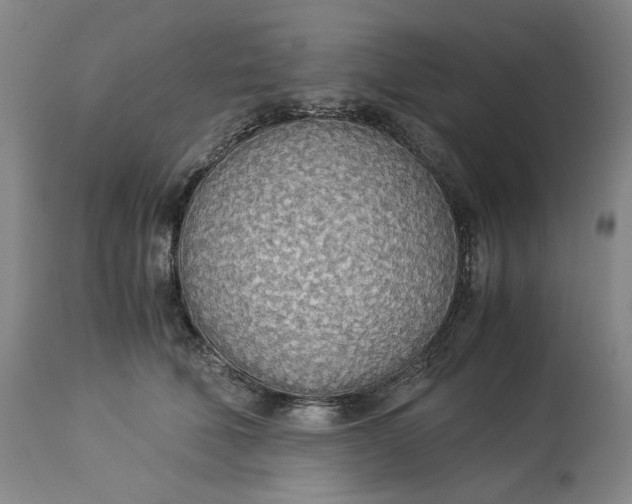 X0000114540610200911091134