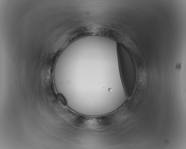 X0000114540611200911091134