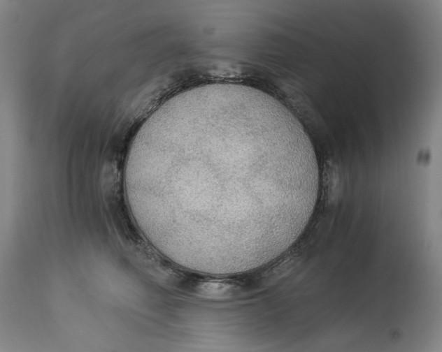 X0000114540614200911091134