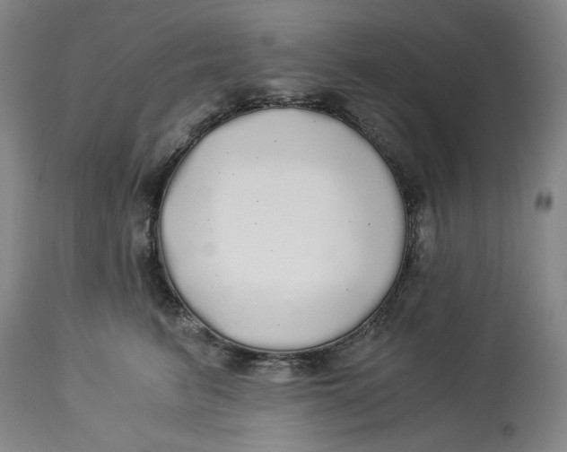 X0000114540615200911091134