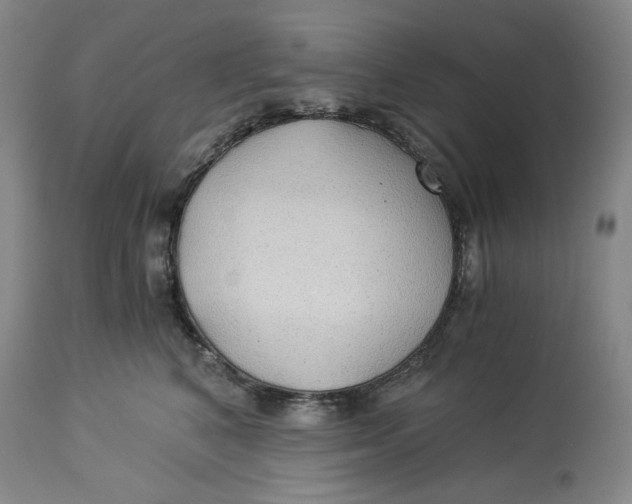 X0000114540616200911091134