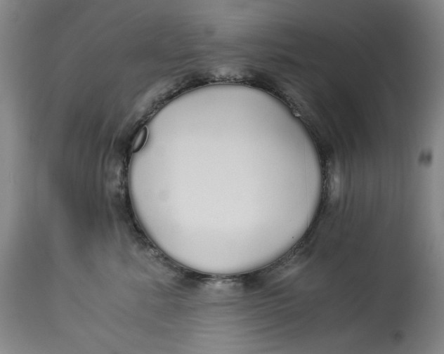 X0000114540619200911091134