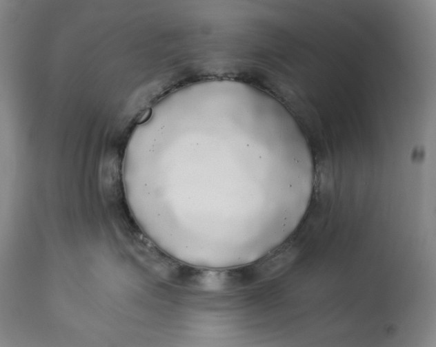 X0000114540623200911091134