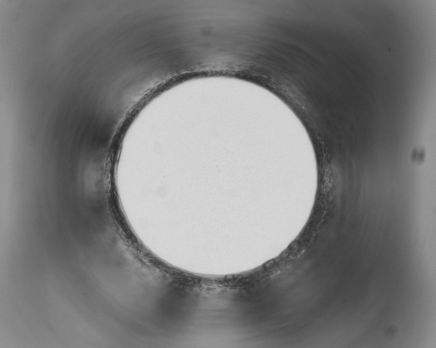 X0000114540632200911091134