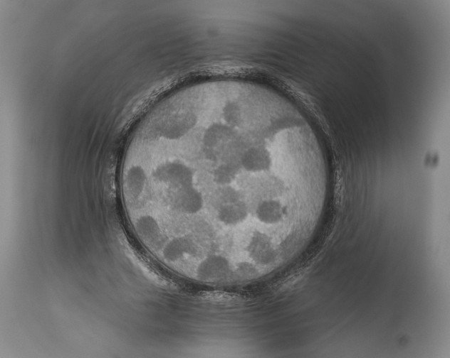 X0000114540633200911091134