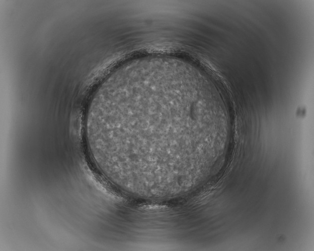 X0000114540637200911091134