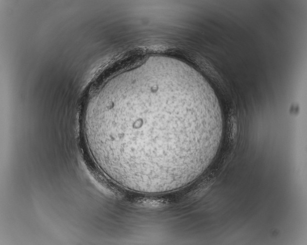 X0000114540638200911091134