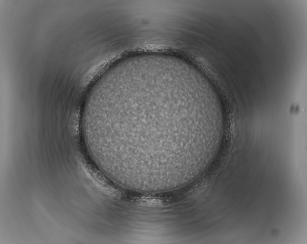 X0000114540640200911091134