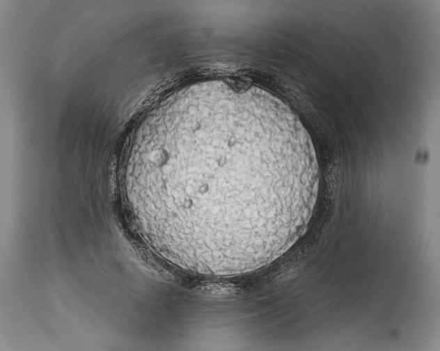 X0000114540642200911091134