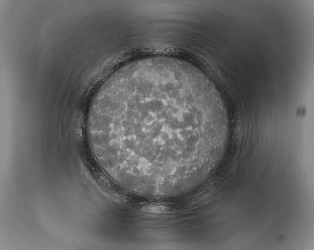 X0000114540643200911091134