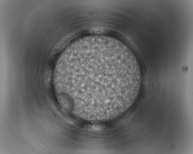 X0000114540645200911091134