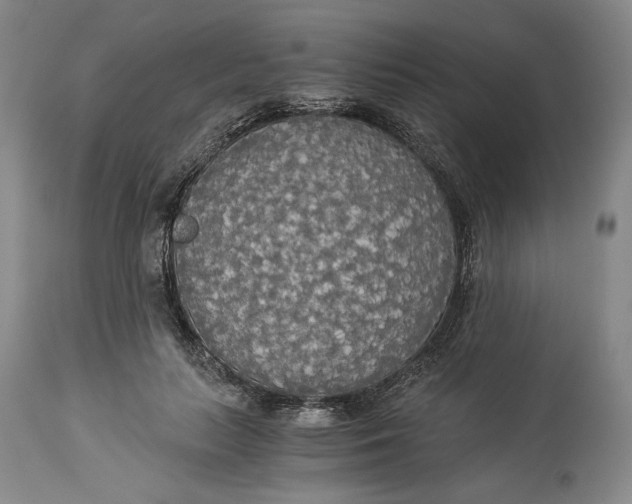 X0000114540647200911091134