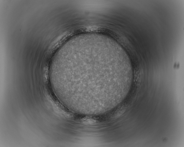 X0000114540648200911091134