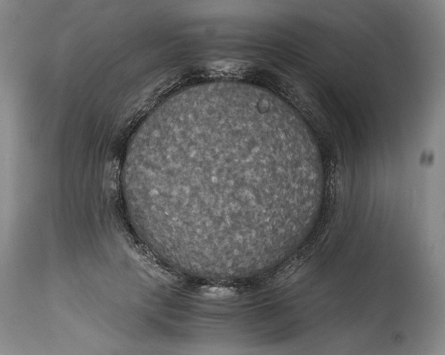 X0000114540649200911091134