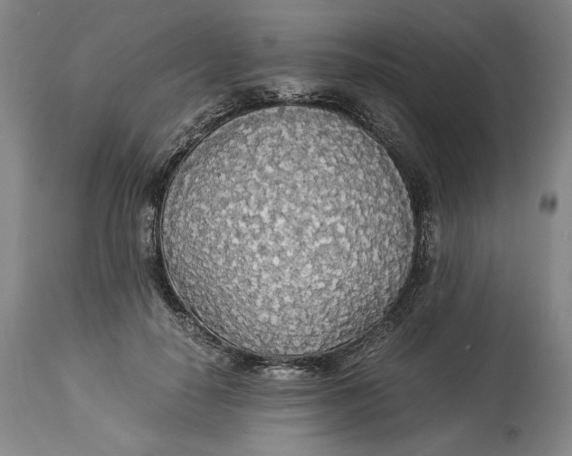 X0000114540650200911091134