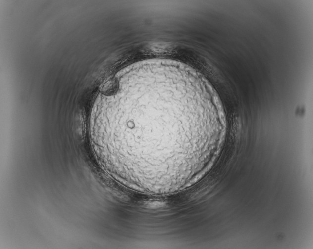 X0000114540651200911091134