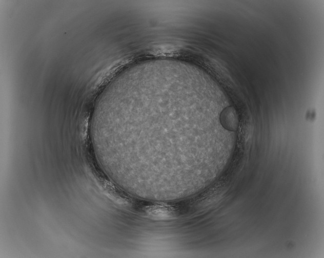 X0000114540652200911091134