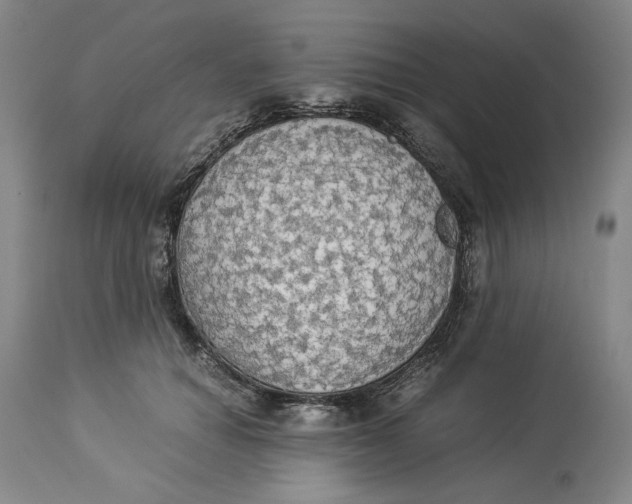 X0000114540654200911091134