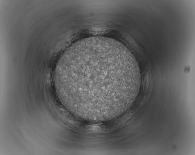 X0000114540655200911091134